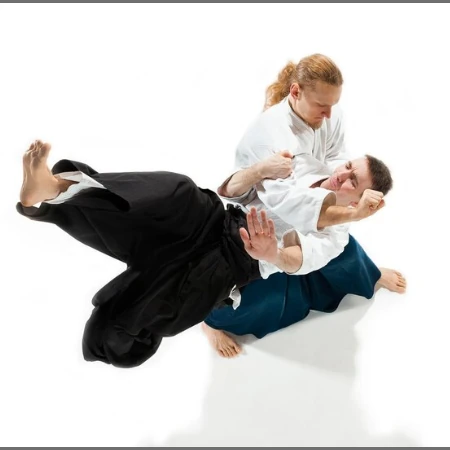 Aikido Tradicional