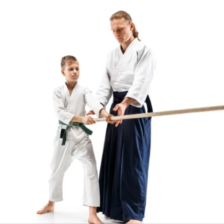 Como Aprender Aikido do Zero
