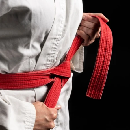 Jiu-Jitsu Para Competição