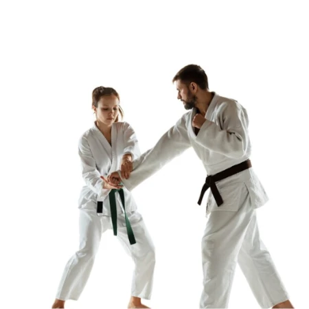 Jiu-Jitsu Para Iniciantes