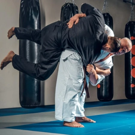 Treinamento de Aikido