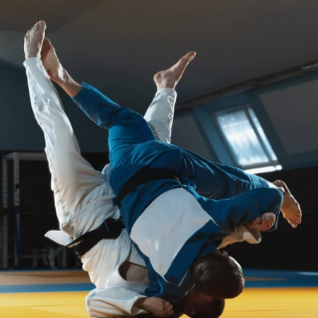 Treinamento de Jiu-Jitsu